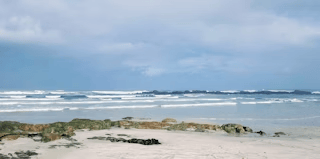 photo-1561563136-ab8f3c6db5ef